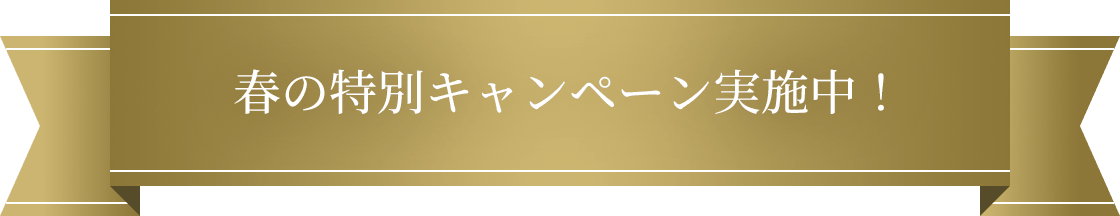 春の特別キャンペーン実施中！